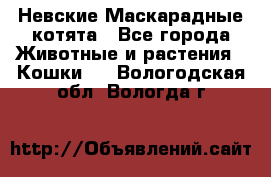 Невские Маскарадные котята - Все города Животные и растения » Кошки   . Вологодская обл.,Вологда г.